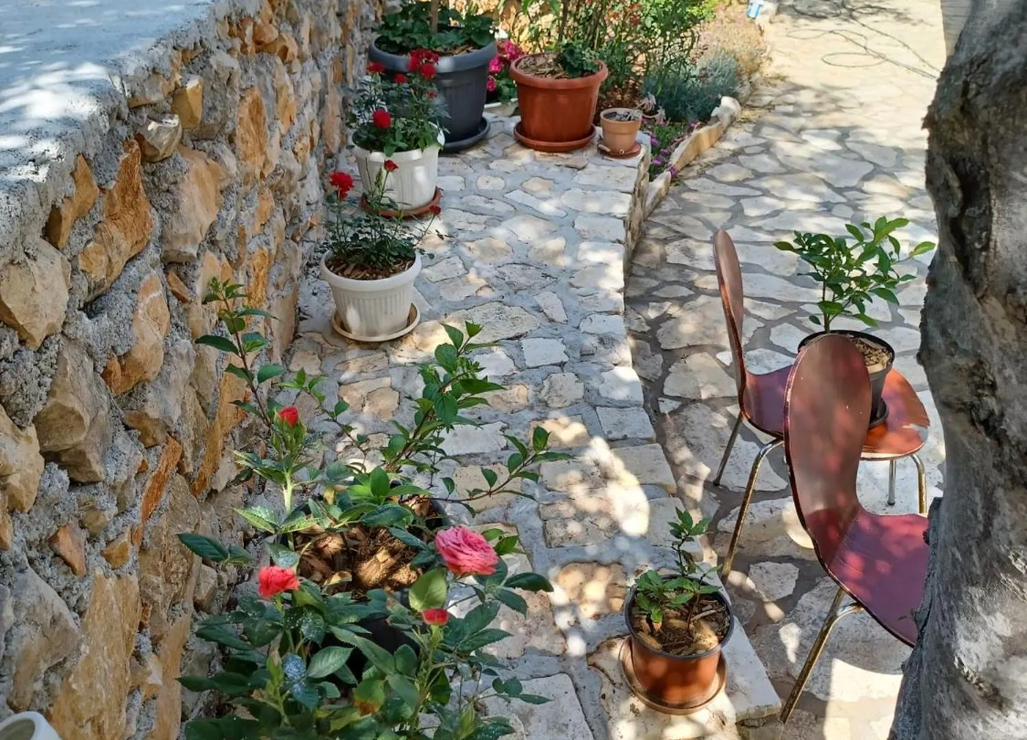 Vinjerac Zadar Croatia Daire Slivnica