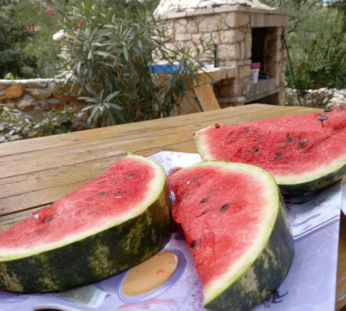 Vinjerac Zadar Croatia Daire Slivnica Hırvatistan